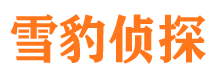 从江市婚外情调查